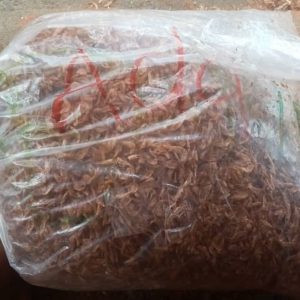 Quarter Bag of Oron Crayfish